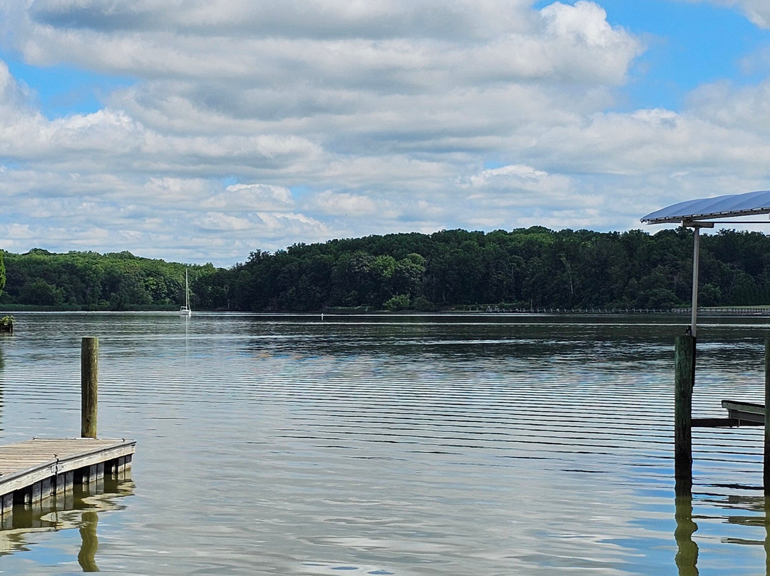 Bohemia RIver