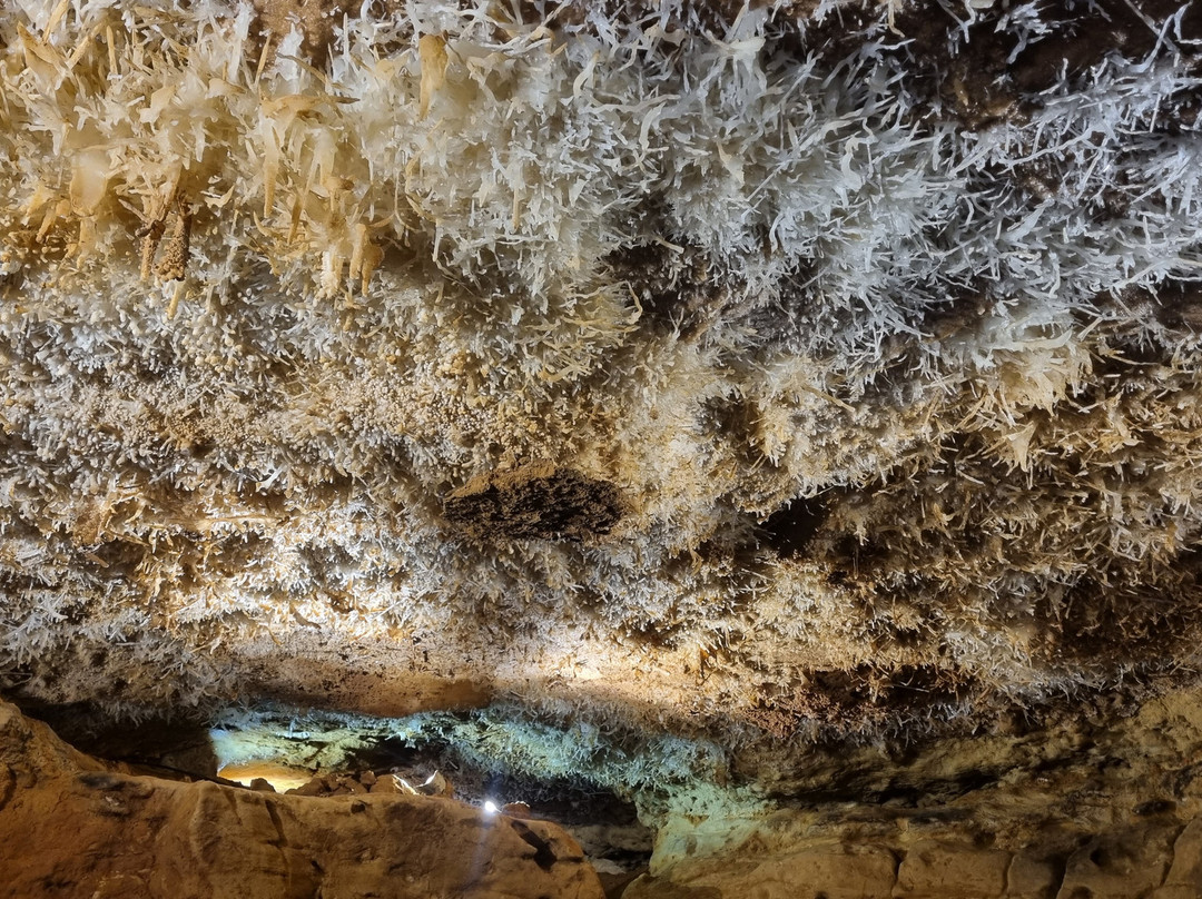 La grotte de Maxange-Le Buisson-de-Cadouin必去景点