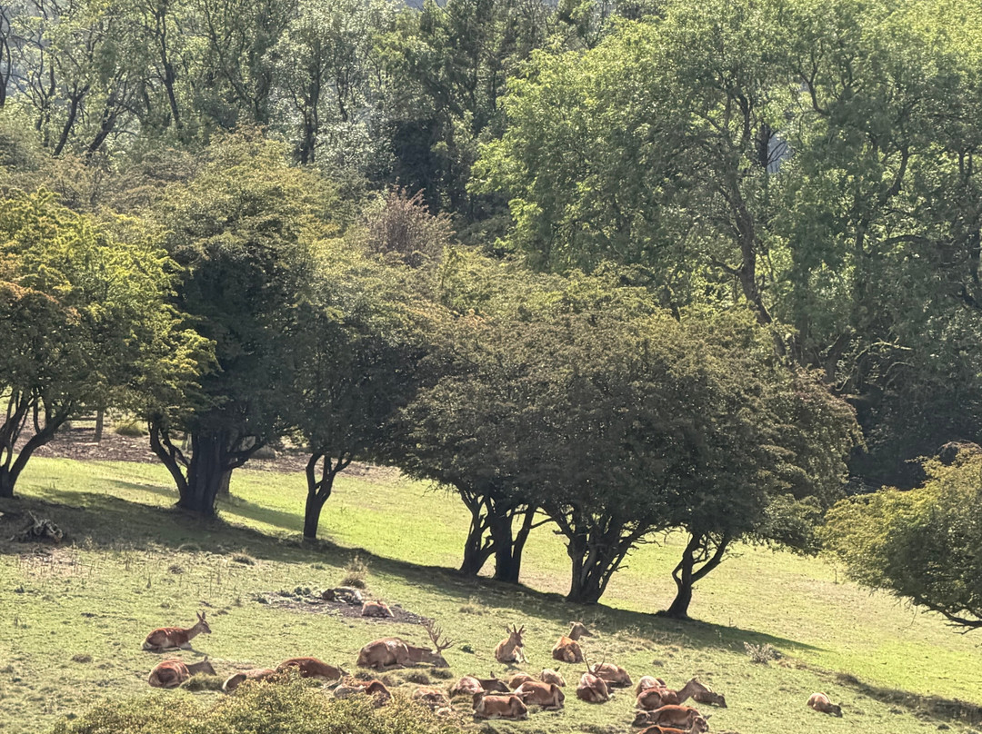 Hidden Cotswold Tours-Milton-under-Wychwood必去景点