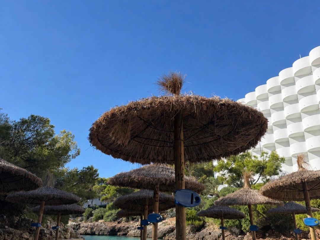 AluaSoul Mallorca Resort - Adults Only主图