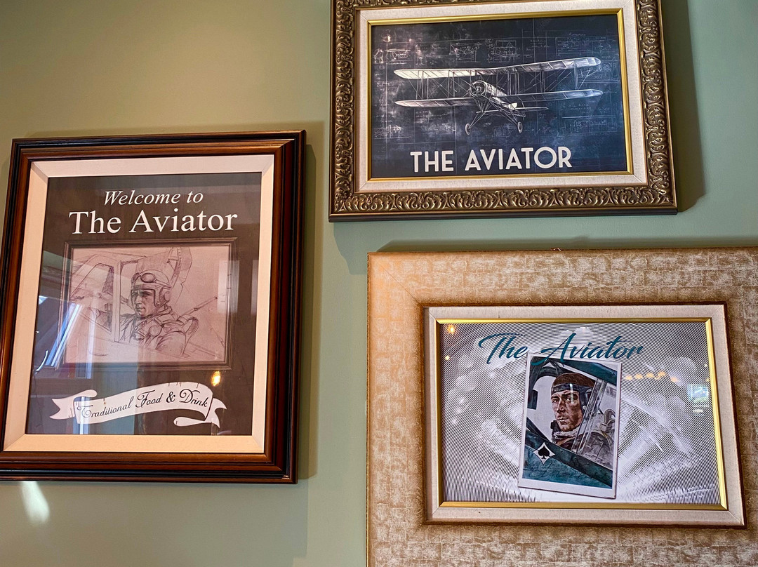 The Aviator By Marston's Inns主图