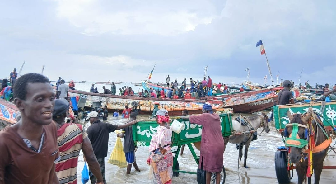 Babacar Trip Travel-Nianing必去景点
