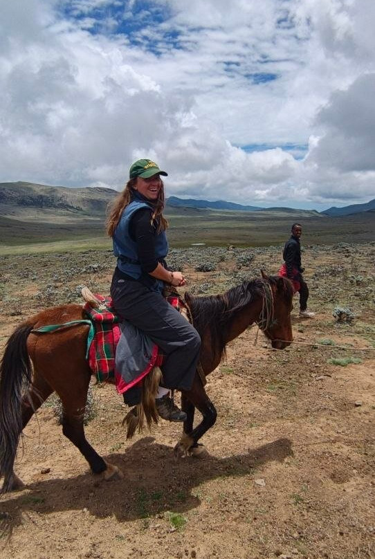 Bale Mountains Trekking Tours Ethiopia-Bale Robe必去景点