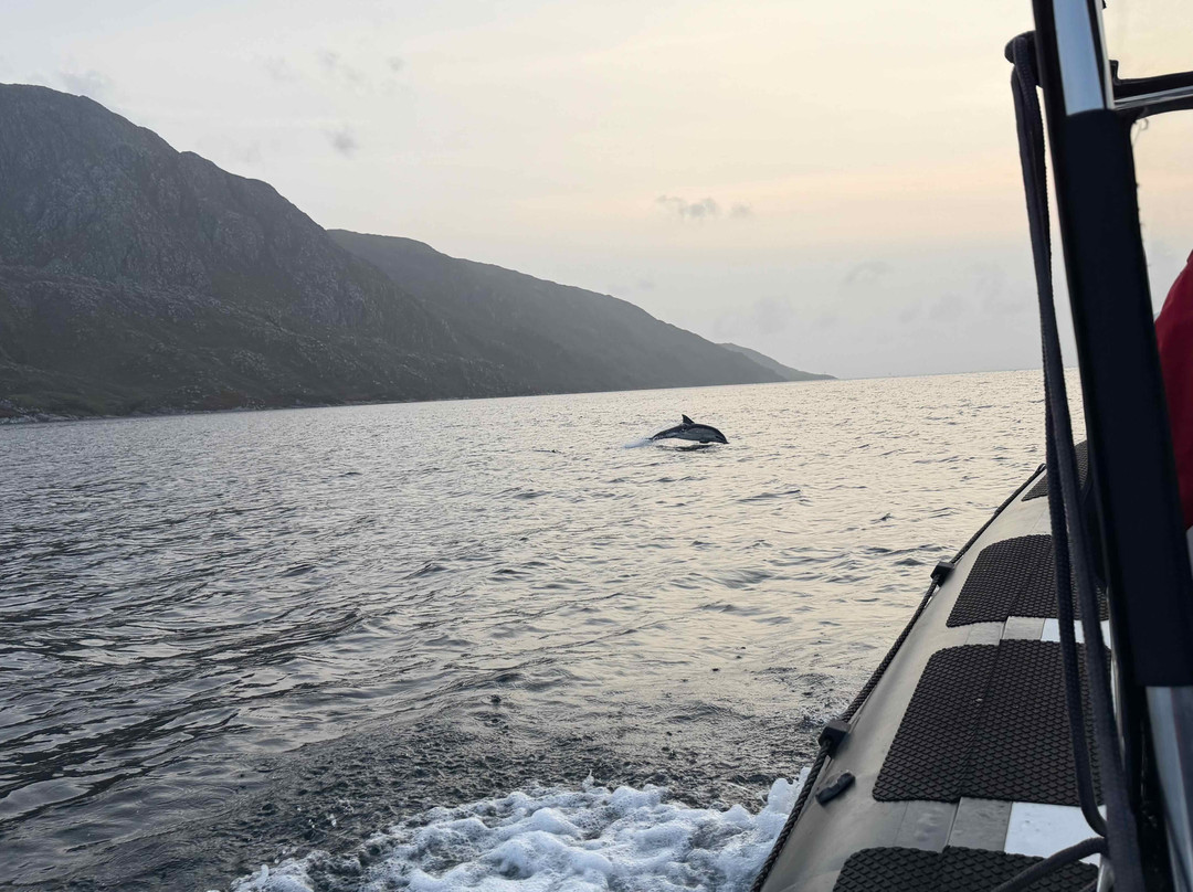 Western Isles Cruises-Mallaig必去景点