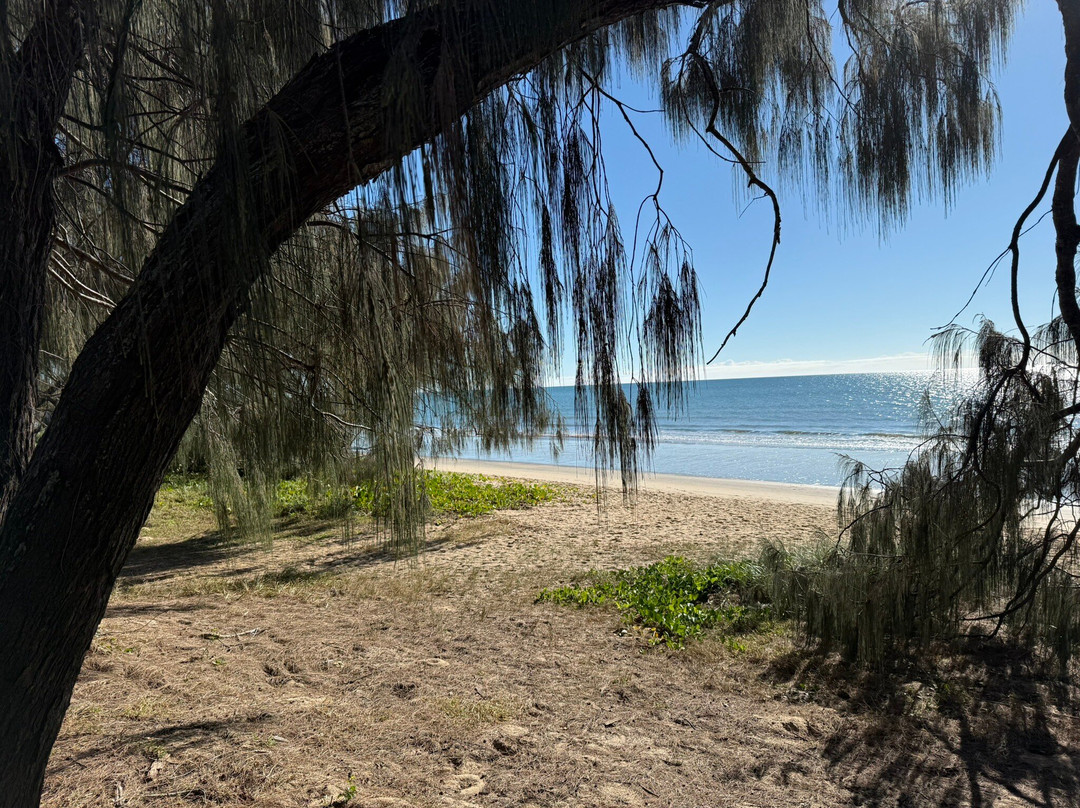 Woodgate Beach-邦德堡必去景点