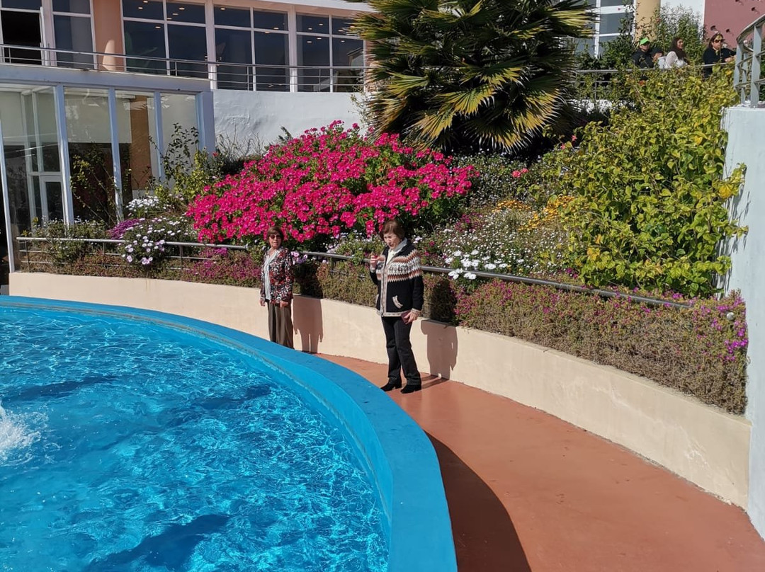 Rosa Agustina Guanaqueros Resort