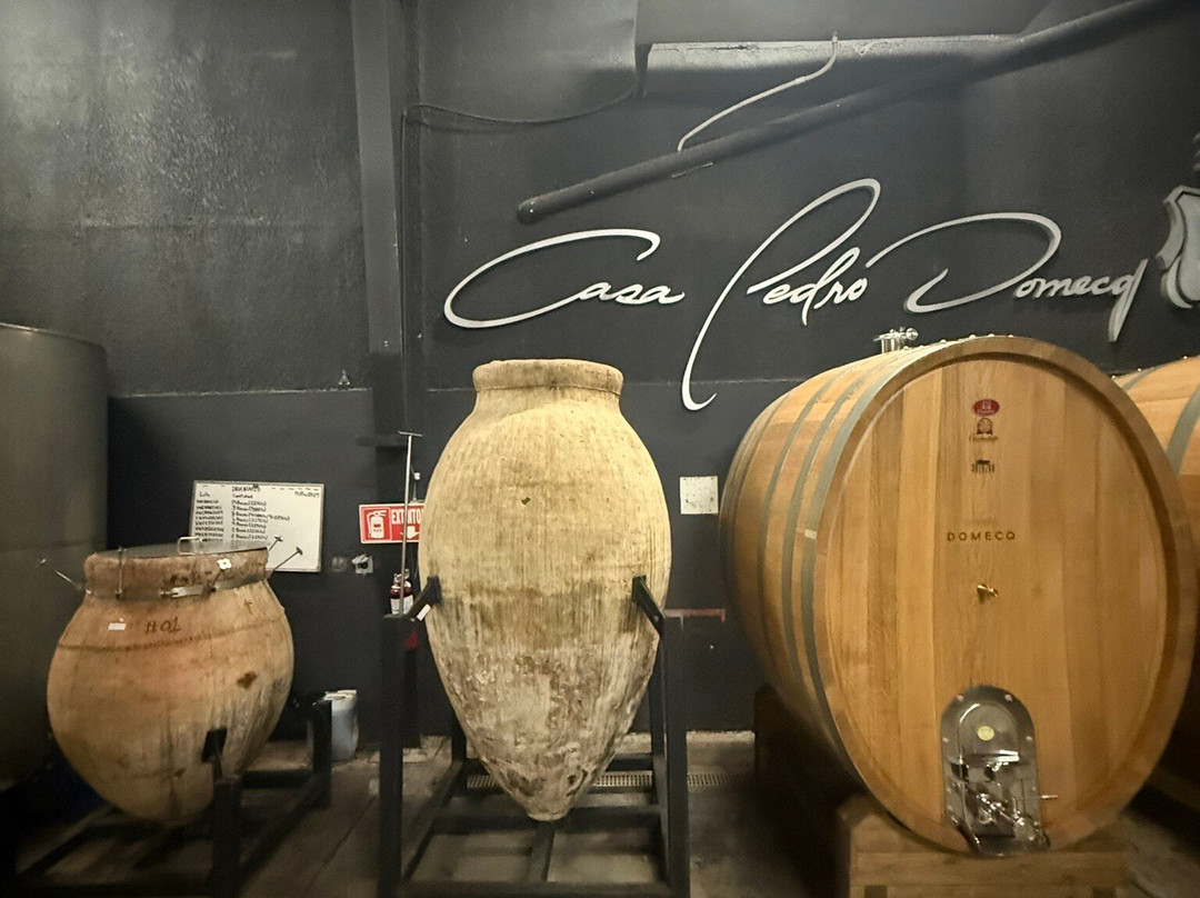 Bodegas Domecq-恩塞纳达必去景点