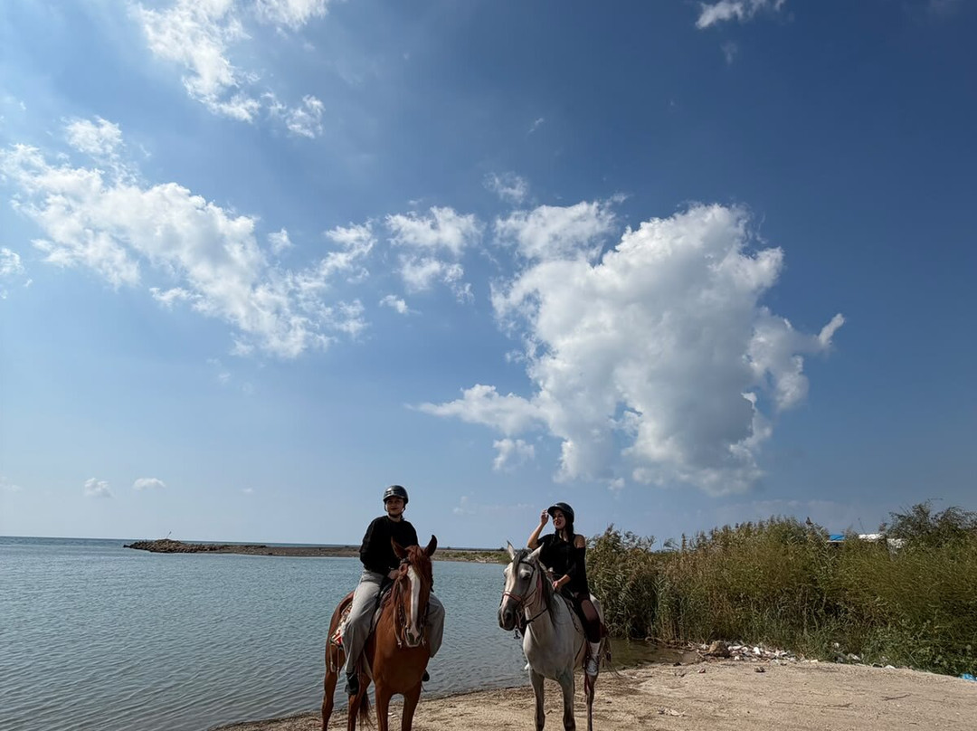 Belek Safari | Horse Riding Tour-Kumkoy必去景点