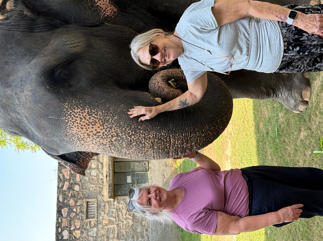 Elefanjoy Elephant Sanctuary-斋蒲尔必去景点