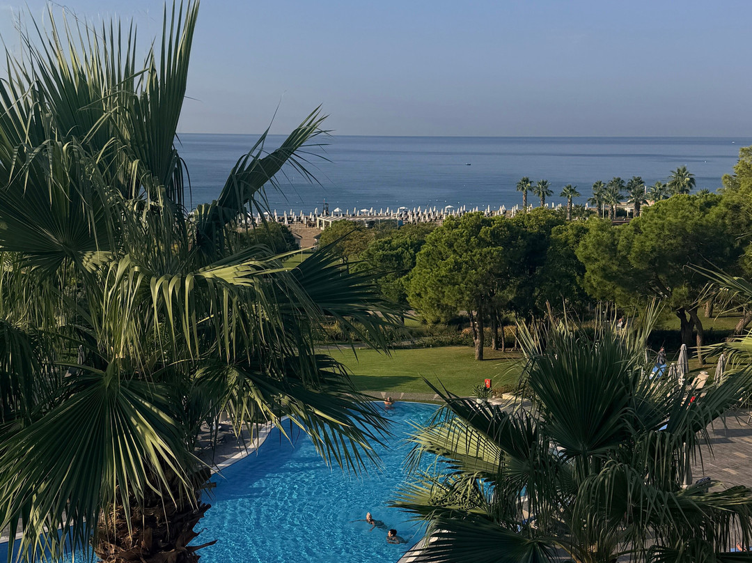 全包式的阿克拉索尔贡图伊蓝色感官主图