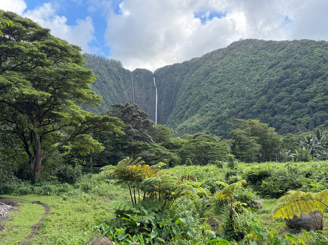 Waipio Valley Shuttle-库库伊哈尔必去景点