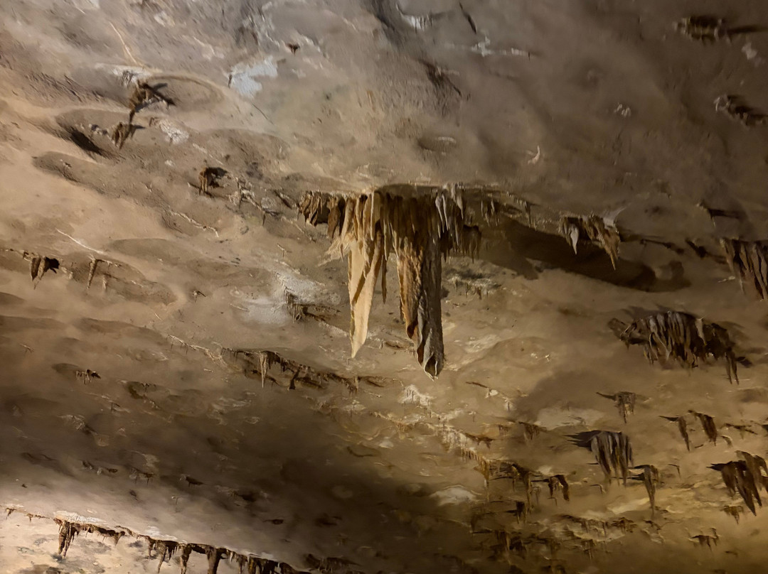 Fantastic Caverns-斯普林菲尔德必去景点