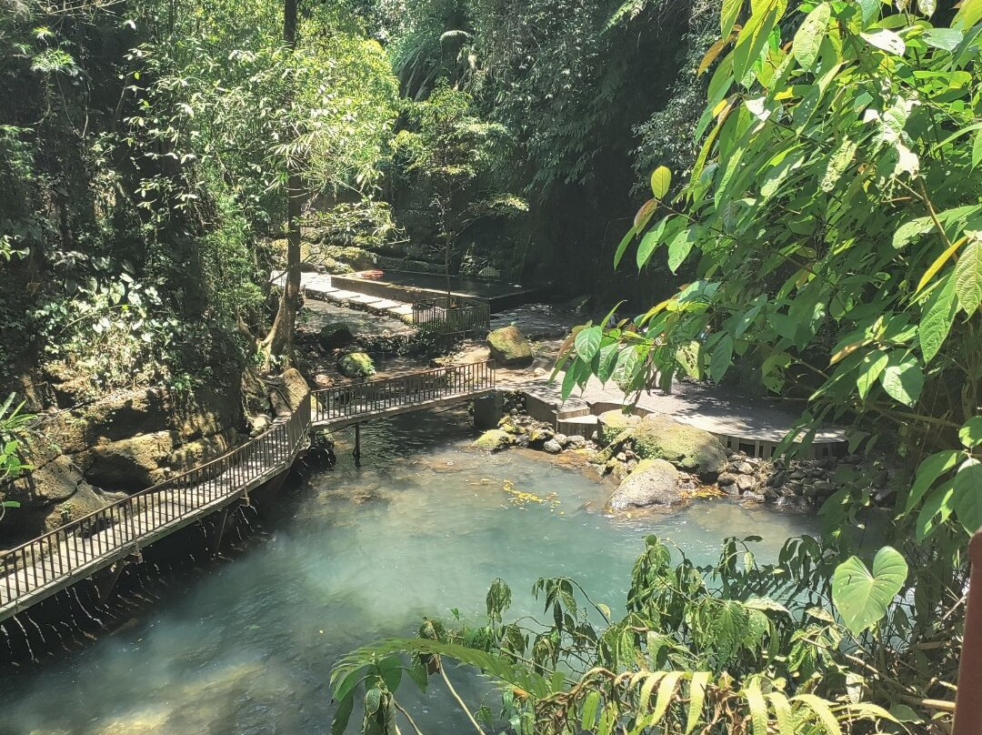 Best Ubud Driver-乌布必去景点
