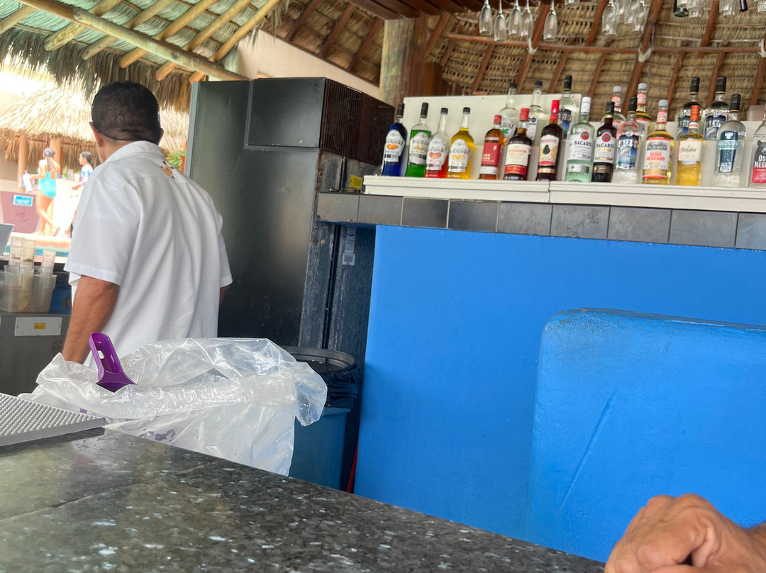 桑斯卡普多拉多太平洋酒店-可全包主图