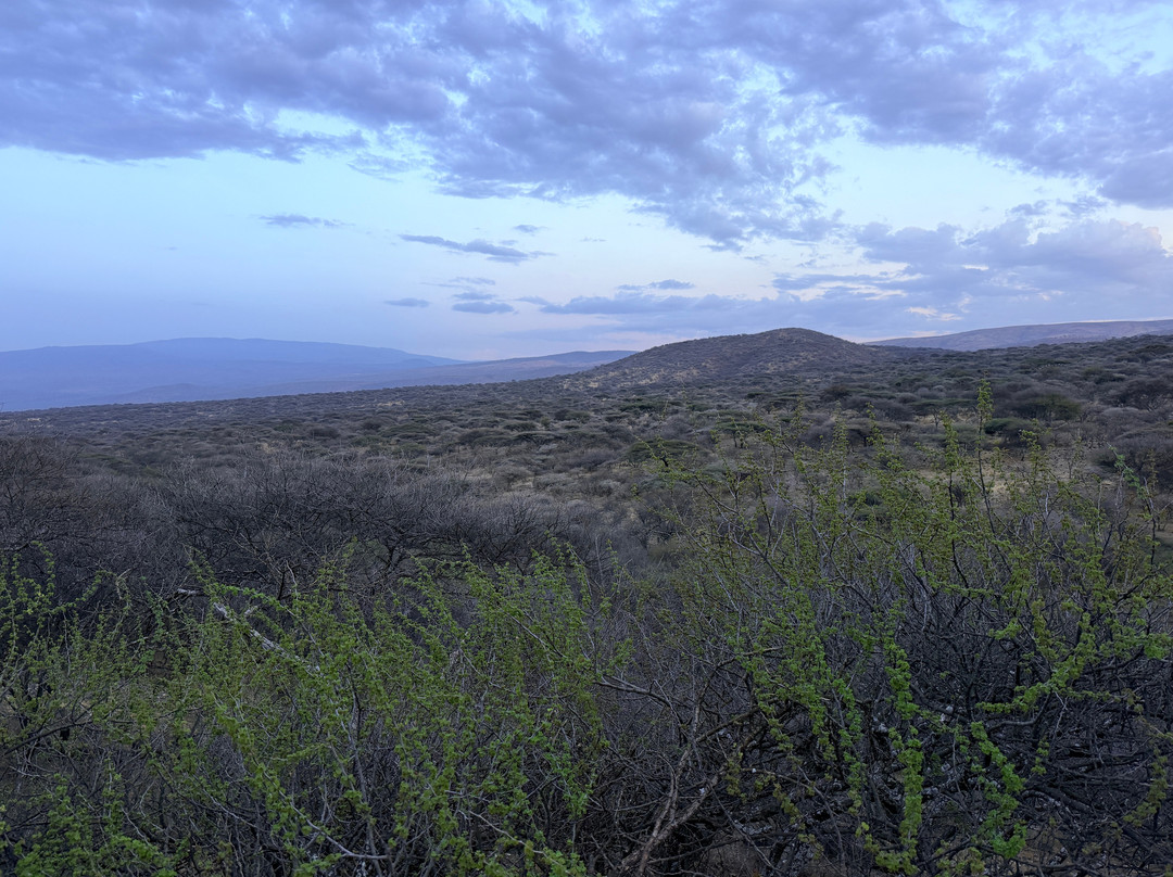 Naserian Safari Camp