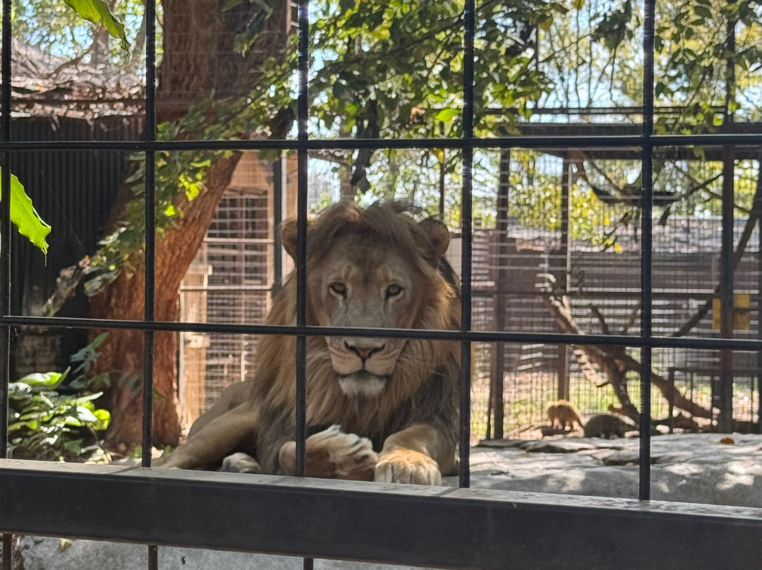 Safari Zoological Park-Caney必去景点