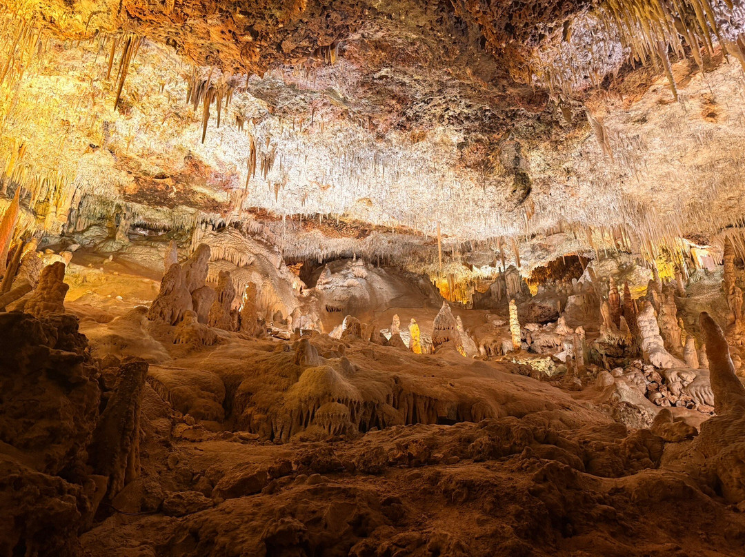 Cuevas del Drach-克里斯托港必去景点