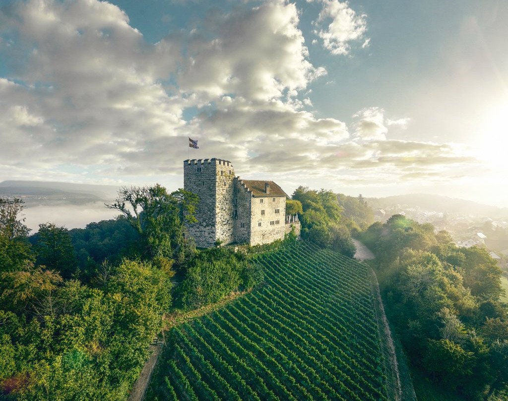 Schloss Habsburg景点图片