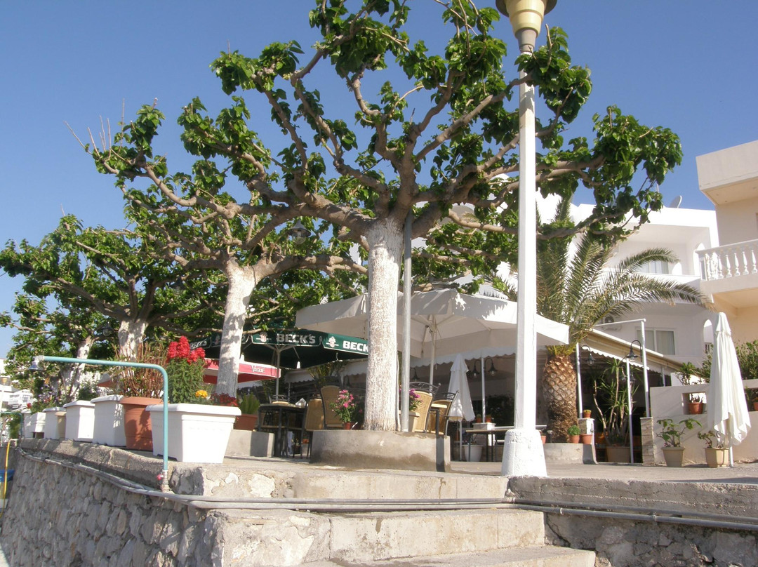 Malonas酒店住宿-Haraki Bay Hotel Apartments