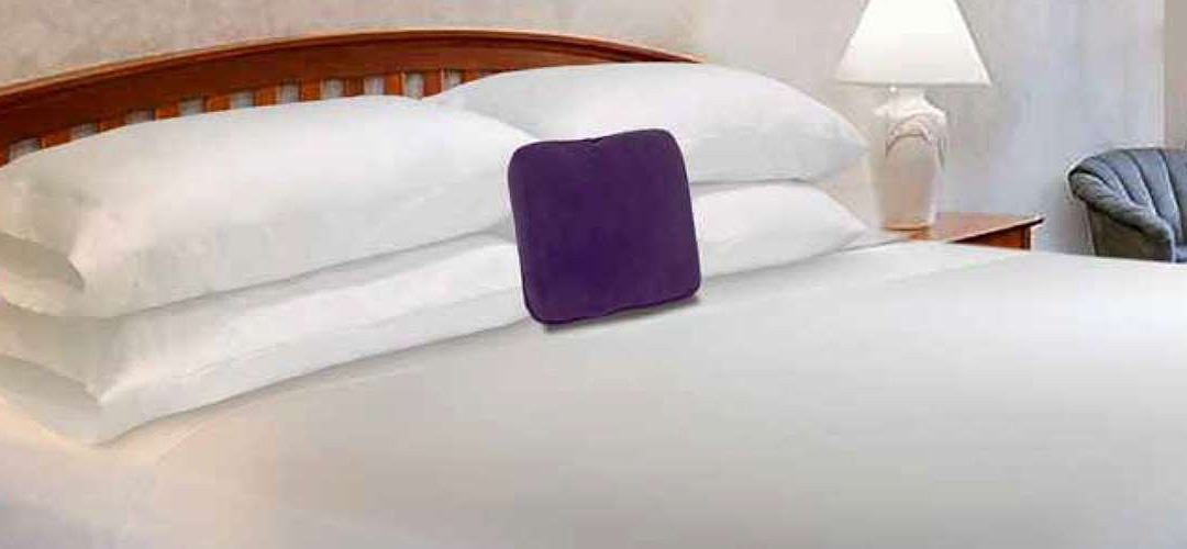 斯泰茨伯罗骑士旅馆主图