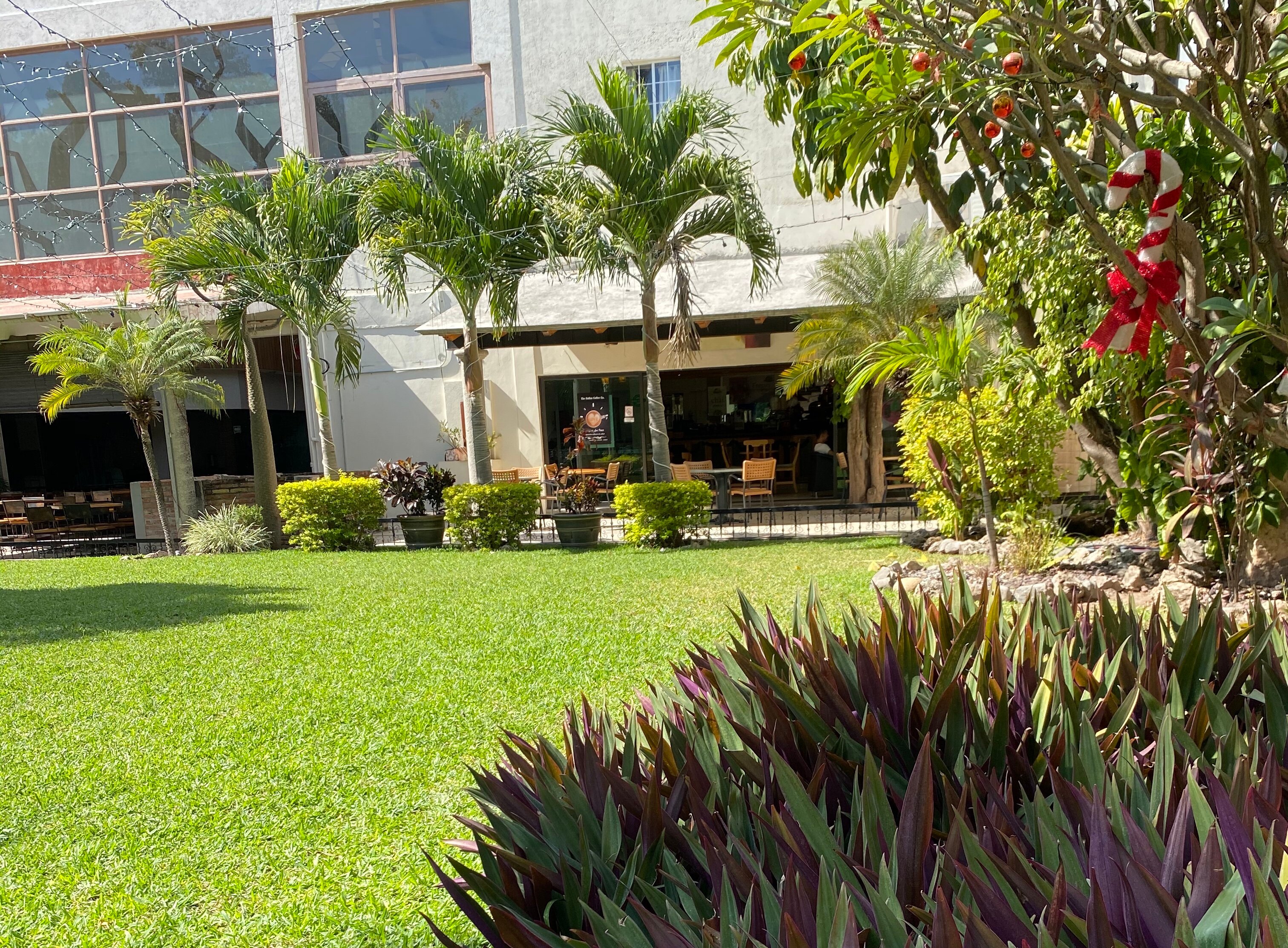 Gran Plaza Hotel Centro Historico-官方