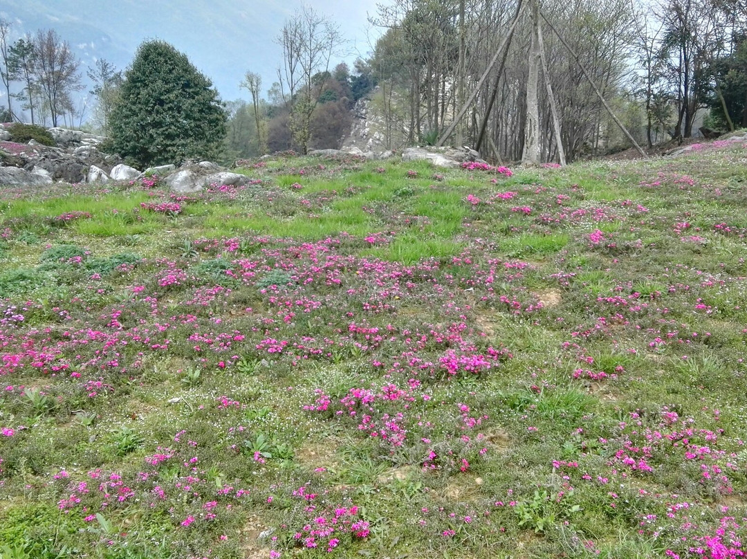 药王谷旅游景区-北川县必去景点