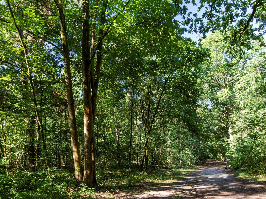 Kattekensberg