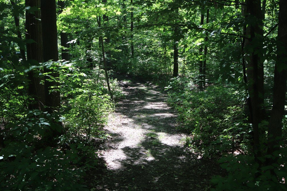 Burgoyne Woods Park-圣凯瑟琳斯必去景点