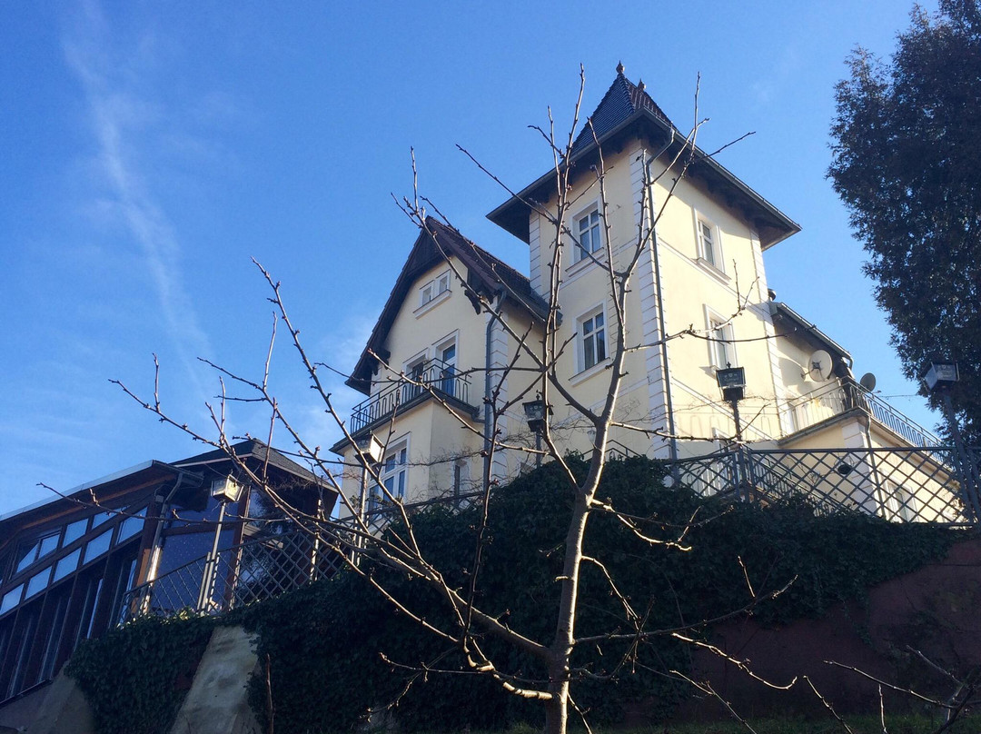 Muencheberg旅游攻略图片