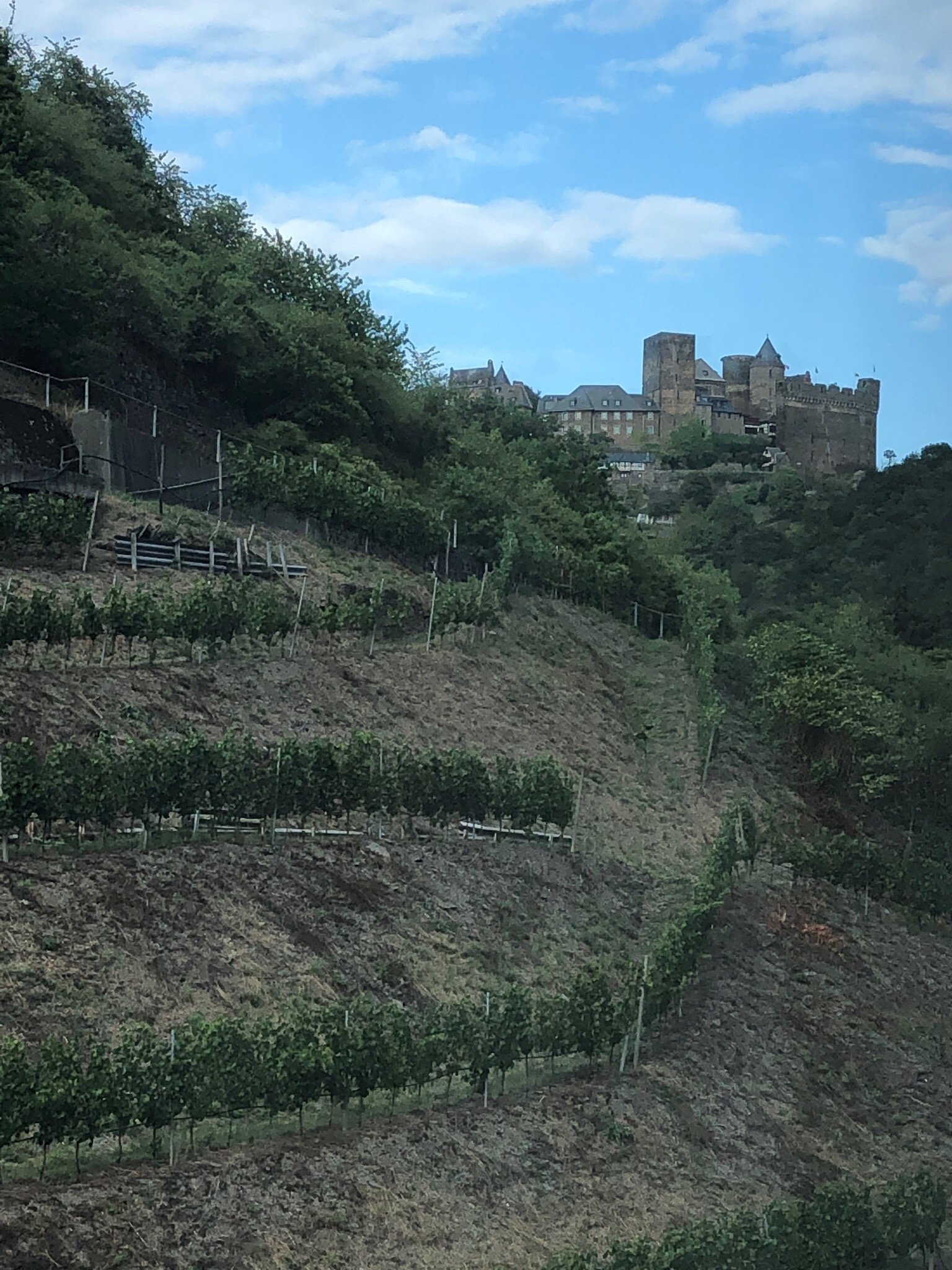 Weinhotel und Gaestehaus Gutsschaenke Sennerhof-官方
