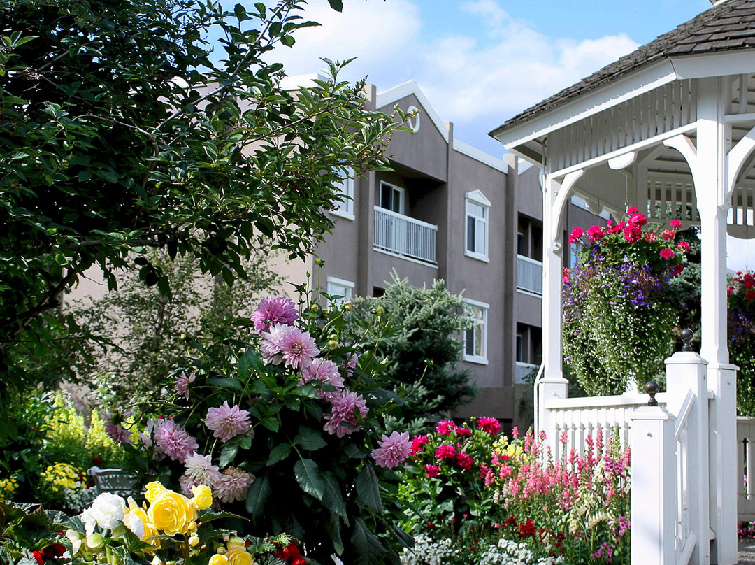 Bear Lodge At Wedgewood Resort