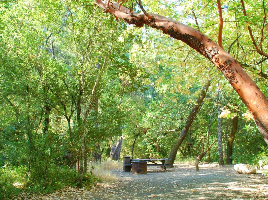 Bothe-Napa State Park景点图片