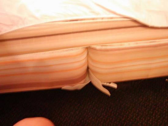 Water Gap Inn Resort & Conference Center