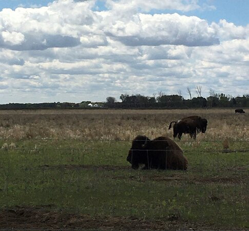 Kankakee Sands-Morocco必去景点