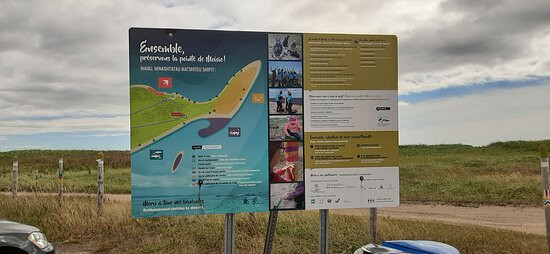 Pointe-de-Moisie-七岛港必去景点