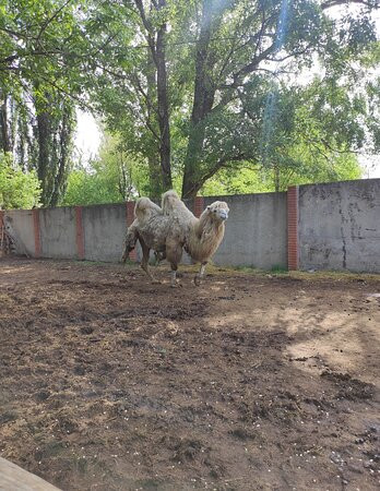 Mariupol Zoo-Mariupol必去景点