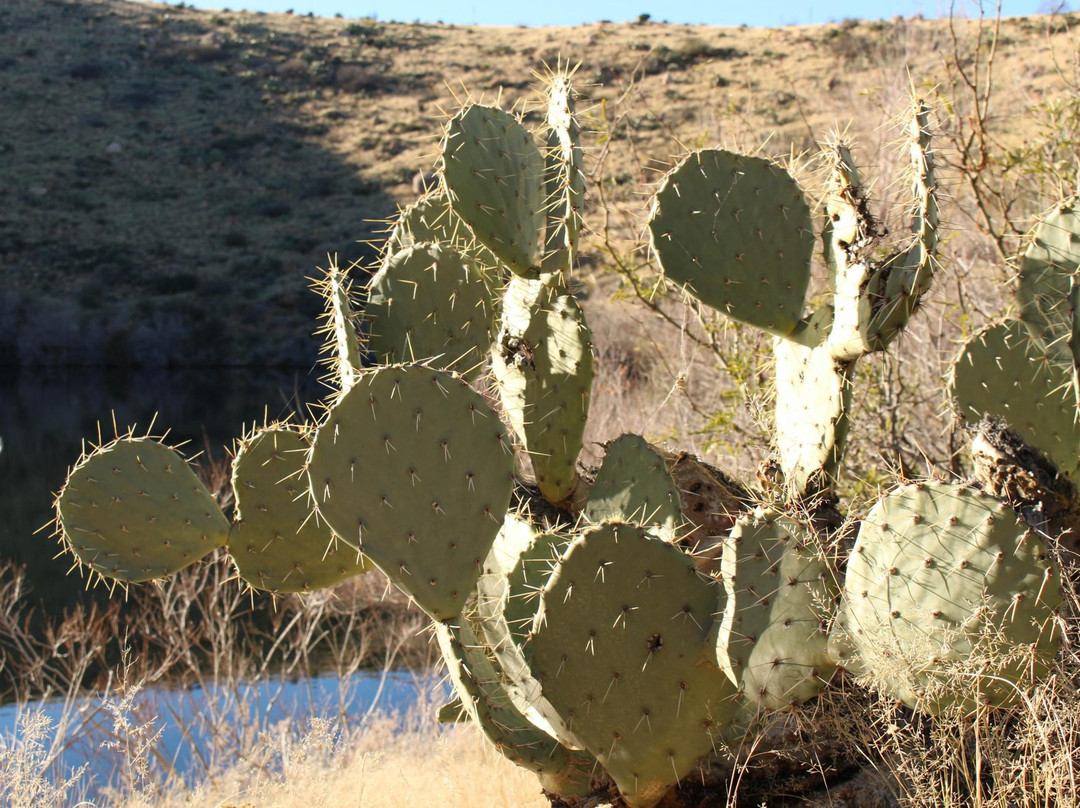 Morenci旅游景点-Frye Mesa Reservoir