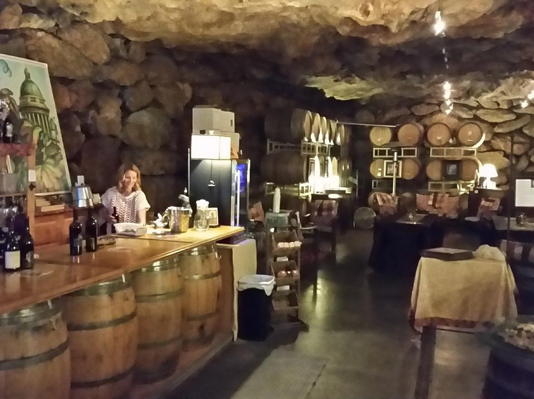 Vina Castellano Winery景点图片