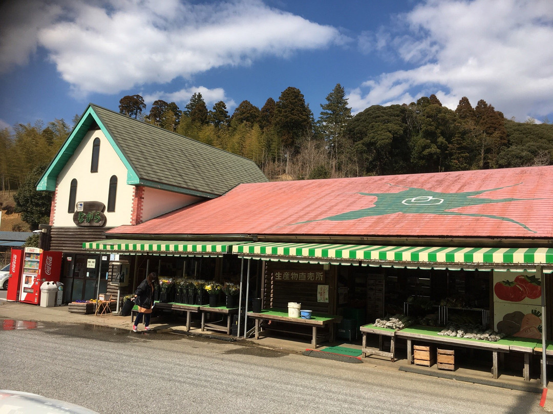 Michi-no-Eki Nagara景点图片
