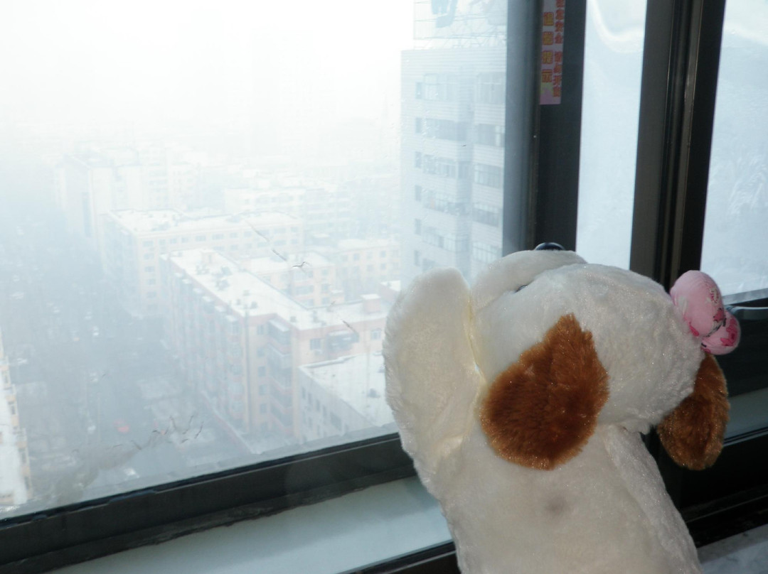 帕弗尔饭店主图