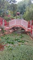 Joyful Garden景点图片