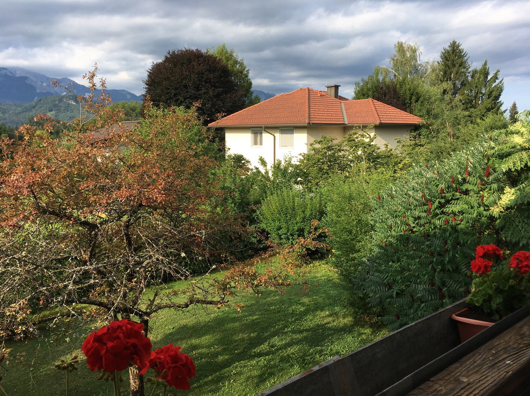 Rosegg酒店住宿-Villa Martini Boutiquehotel