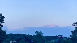 Kilimanjaro Safaris Lodge主图