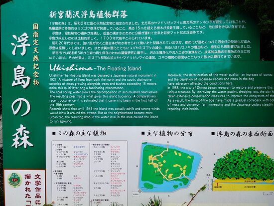 Shingu Inosawa Ukijima Plant Community-新宫市必去景点