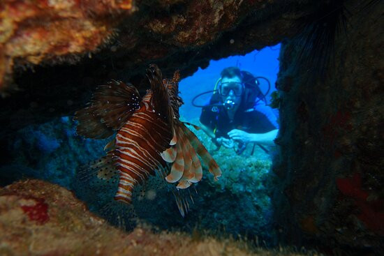 H2O Diving Center-Ladiko必去景点