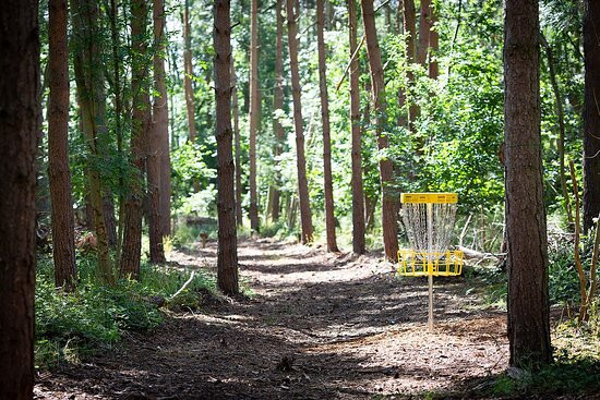 Gilly's Disc Golf景点图片