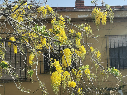 Playa Benagalbón-Torre de Benagalbon必去景点