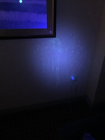 Harrah's Council Bluffs Hotel and Casino主图