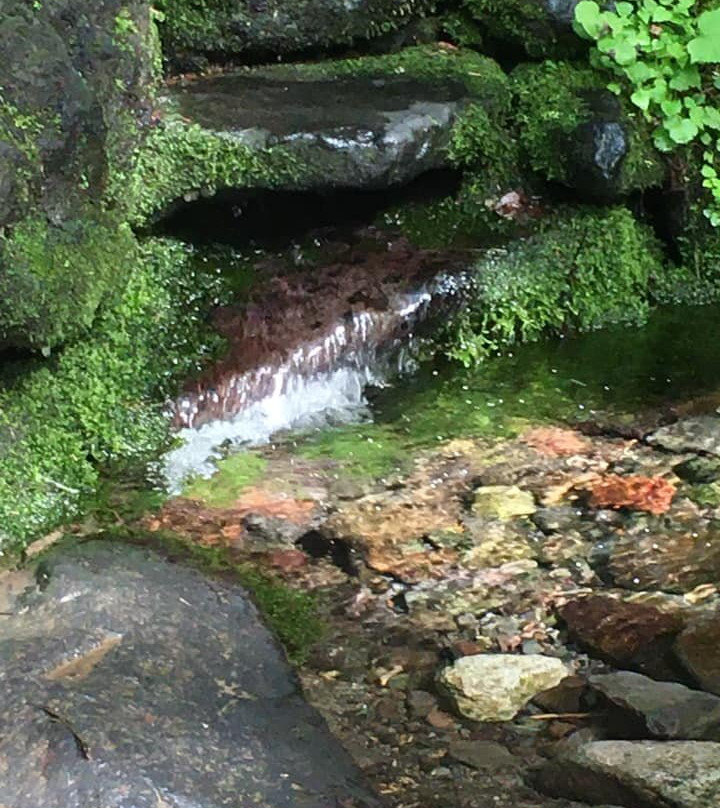 Mt. Rishiri-利尻町必去景点