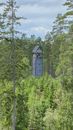 Sweden Zipline景点图片